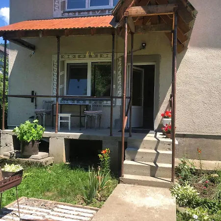 Біля Ріки Mizhhirya (Transcarpathia) Exterior photo