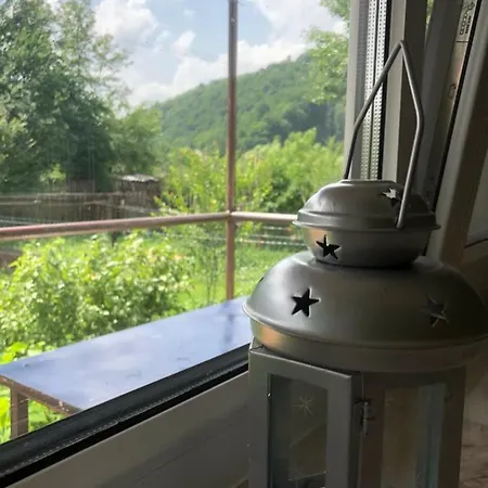 Біля Ріки Mizhhirya (Transcarpathia) Exterior photo