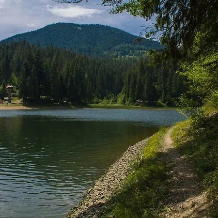 Біля Ріки Mizhhirya (Transcarpathia) Exterior photo