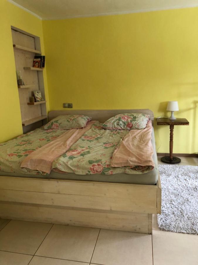 Біля Ріки Apartment Mizhhirya (Transcarpathia)